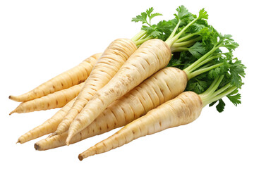  parsnip vegetables