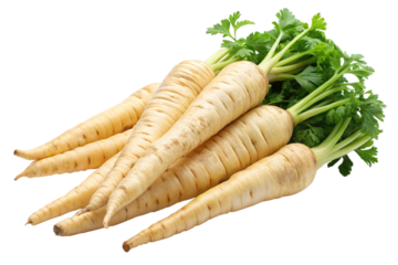  parsnip vegetables