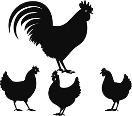 Rooster and hen chicken farm animal vector silhouette illustration