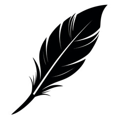 Obraz premium Elegant single feather silhouette floating gracefully in space
