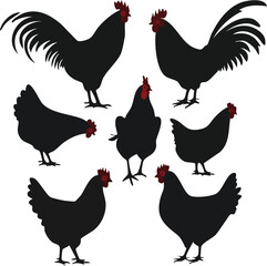 Chicken and rooster farm bird vector silhouette illustration set