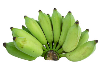 Raw Bunch of Green Namwa Bananas Transparent Background