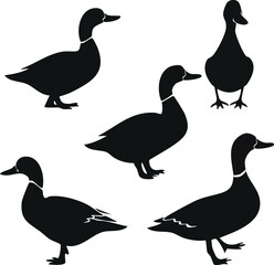 Elegant Duck Silhouette Set Five Detailed Bird Silhouettes for Design Projects