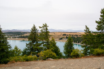 Scenic Lake View Surrounded by Trees