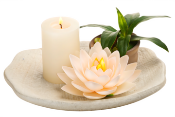 flower candle plant spirituality isolated on white background PNG , AI GENERATED