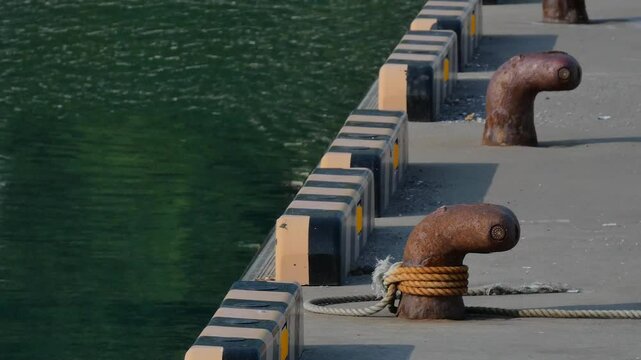 夏の深い緑の海面と係留杭のある岸壁