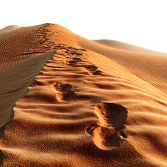 Desert Footprint Trail Journey Across Golden Sands white background against transparent Background