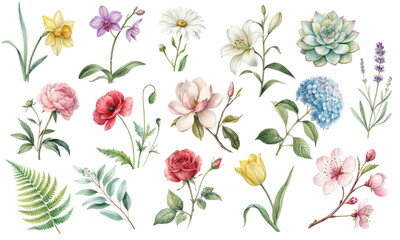 Watercolor Vector Set of Spring and Summer Flowers, Blossoms, Leaves, and Botanical Elements