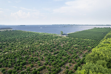 Obraz premium aerial view solar power station