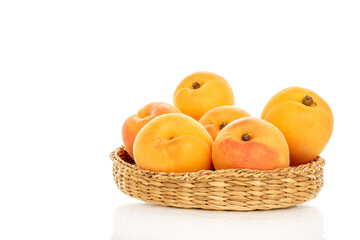 Sweet organic apricots isolated on white background, close-up.