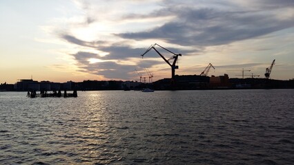 cranes at sunset