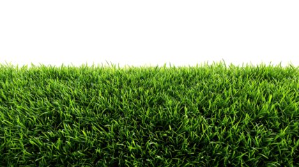 Grassy texture mat in luxurious Gorgias design on transparent background