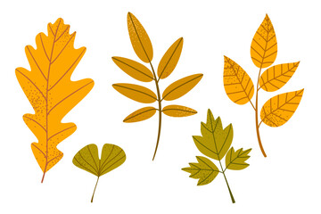 Set of autumn leaves from different trees, oak, rowan, ash. Simple yellow, orange set of autumn leaves for template, banner, sticker. Hello autumn postcard. Flat vector illustration.