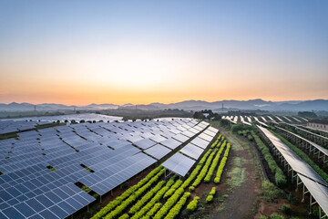 aerial view solar power station