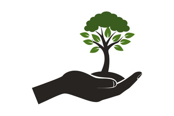 hand holding tree