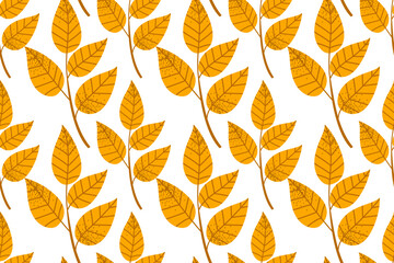 Autumn leaves seamless background. Vector illustration of plants isolated on white background