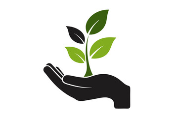 hand holding a plant