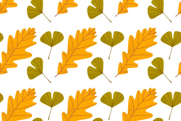 Autumn leaves seamless background. Vector illustration of plants isolated on white background
