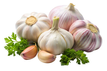 garlic on white background