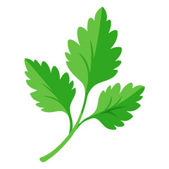 coriander leaf icon
