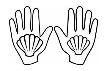 Hands holding scallop shells fingers palms