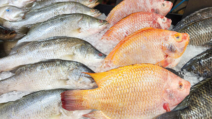 Fresh fishs seafood at the seafood market, Close up fresh fish on ice