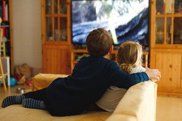 Obraz premium Cute little toddler girl and school kid boy watching animal movie or movie on tv. Happy healthy children, siblings during coronavirus quarantine staying at home. Brother and sister together. no face