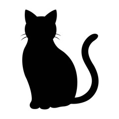black cat on white background