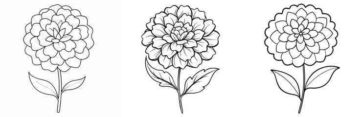 Marigold Flower Icon - Outline, Minimalist, Line Art Floral Symbol