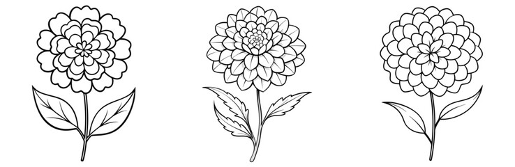 Marigold Flower Icon - Outline, Minimalist, Line Art Floral Symbol