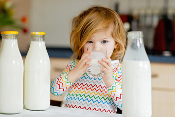 Adorable toddler girl drinking cow milk for breakfast. Cute baby daughter with lots of bottles....