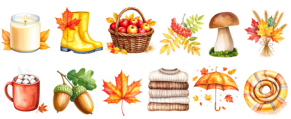 set of autumn illustration watercolor style, isolated on white background