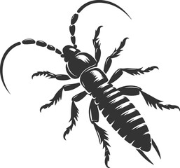 Vector illustration of a insect black drawing