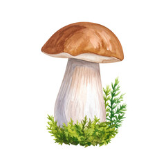 mushrooms isolated on white