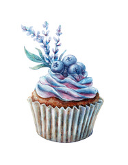 Watercolor cupcake lilac pink blueberry with lavender berries and cream hand drawn sponge cake