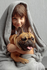 Girl and a French bulldog wrapped in a gray blanket.