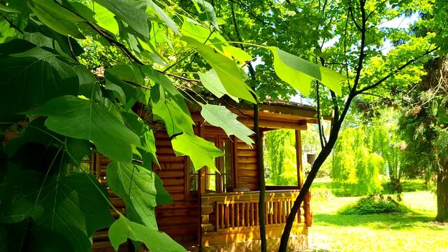 A beautiful wooden house in a park among trees