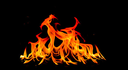 Fiery Flames Against a Black Backdrop