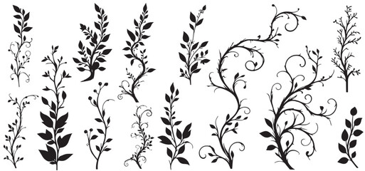 Elegant black and white floral design elements. Intricate vine patterns with leaves. vector illustration © shahzad
