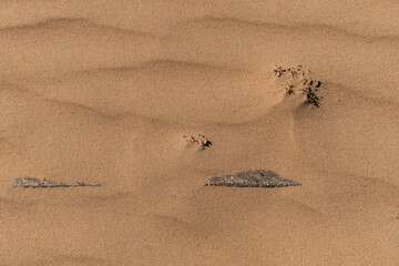 Texture of sand and earth, sand dunes and mountains