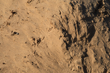 Texture of sand and earth, sand dunes and waves, traces of animals, birds and snakes on the sand
