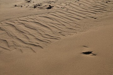 Texture of sand and earth, sand dunes and mountains