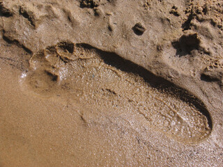 Texture of sand and earth, traces of human feet and shoes