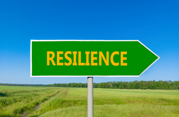 Resilience symbol. Concept word Resilience on beautiful green road sign. Beautiful blue sky green grass and forest peaceful nature background. Business resilience concept. Copy space.