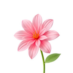 Fototapeta premium 3D Flower PNG