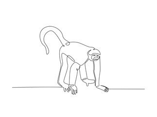 Wild monkey in single outline illustration. Continuous line art drawing of monkey.