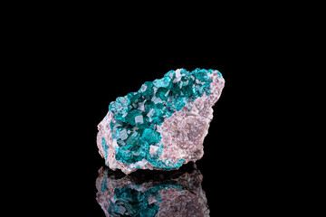 Dioptase. Specimen from Tsumeb Mine, Namibia. photography isolated on black background. macro detail close-up mineral crystal unpolished semi-precious gemstone.
