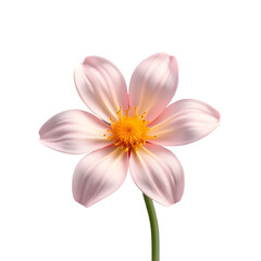 3D Flower PNG