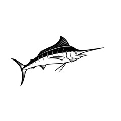 Fototapeta premium Illustration of a marlin fish with a long pointed bill silhouette