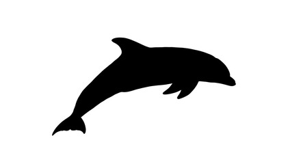 Fototapeta premium A black silhouette of a dolphin gracefully jumping against a white backdrop.